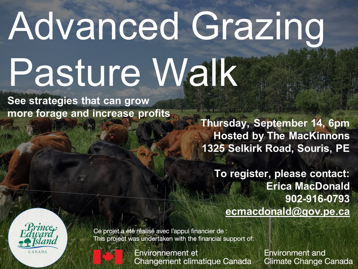 PEI Agriculture (@aginfopei) on Twitter photo Attention Livestock Producers, attend the Advanced Grazing Pasture Walk. Thursday, Sept 14 at 6 p.m. To register contact Erica MacDonald, PEI Dept of Ag 902-916-0793 <a href="/peicattle/">Prince Edward Island Cattle Producers</a> <a href="/peifa_ca/">PEI Federation of Agriculture</a> <a href="/EPAA_pei/">East Prince Agri-Environment Association</a> Attention Livestock Producers, attend the Advanced Grazing Pasture Walk. Thursday, Sept 14 at 6 p.m. To register contact Erica MacDonald, PEI Dept of Ag 902-916-0793 <a href="/peicattle/">Prince Edward Island Cattle Producers</a> <a href="/peifa_ca/">PEI Federation of Agriculture</a> <a href="/EPAA_pei/">East Prince Agri-Environment Association</a>