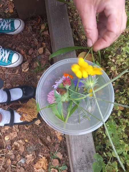 Inspiring Communities SCIO tweet media