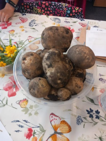 Inspiring Communities SCIO tweet media