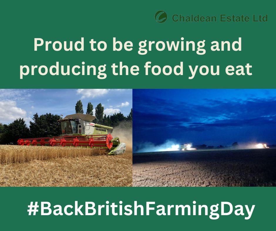 Day and night we are proud to be growing and producing the food you eat #BackBritishFarmingDay 

#backbritishfarming #chaldeanestate <a href="/ceresrural/">Ceres Rural</a> <a href="/CLAAS_UK/">CLAASUK</a> @claasmaans 
<a href="/19stu88/">Stuart goddard</a> <a href="/Lmillsy_135/">Luke Mills</a> <a href="/ANDYGEMMILL/">Andy Gemmill</a>