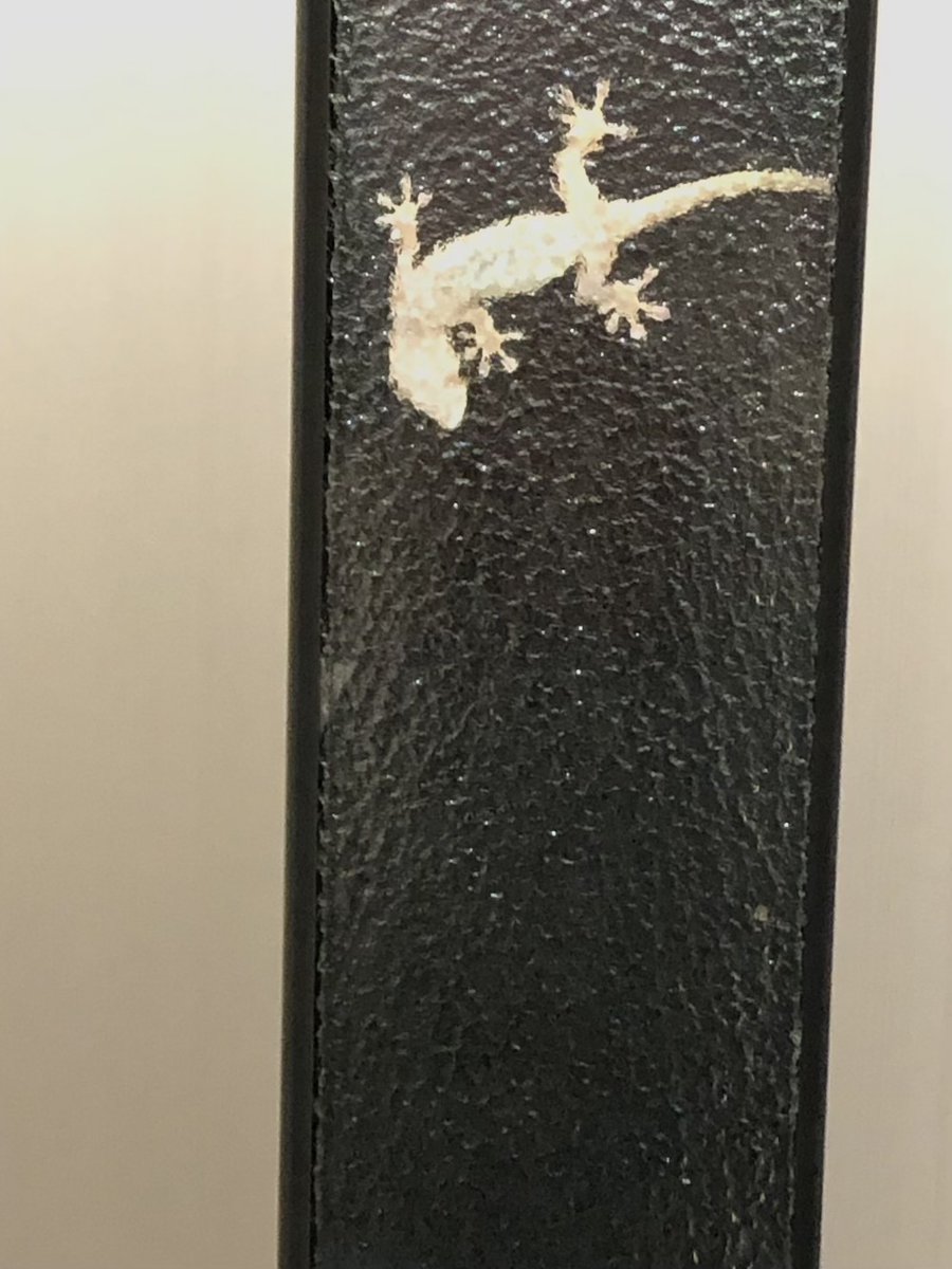 maron_shadow's tweet photo. Gekko japonicus
日本の月光
うちを守ってくれて
4年目です😊 https://t.co/CLzYtuaKgz
