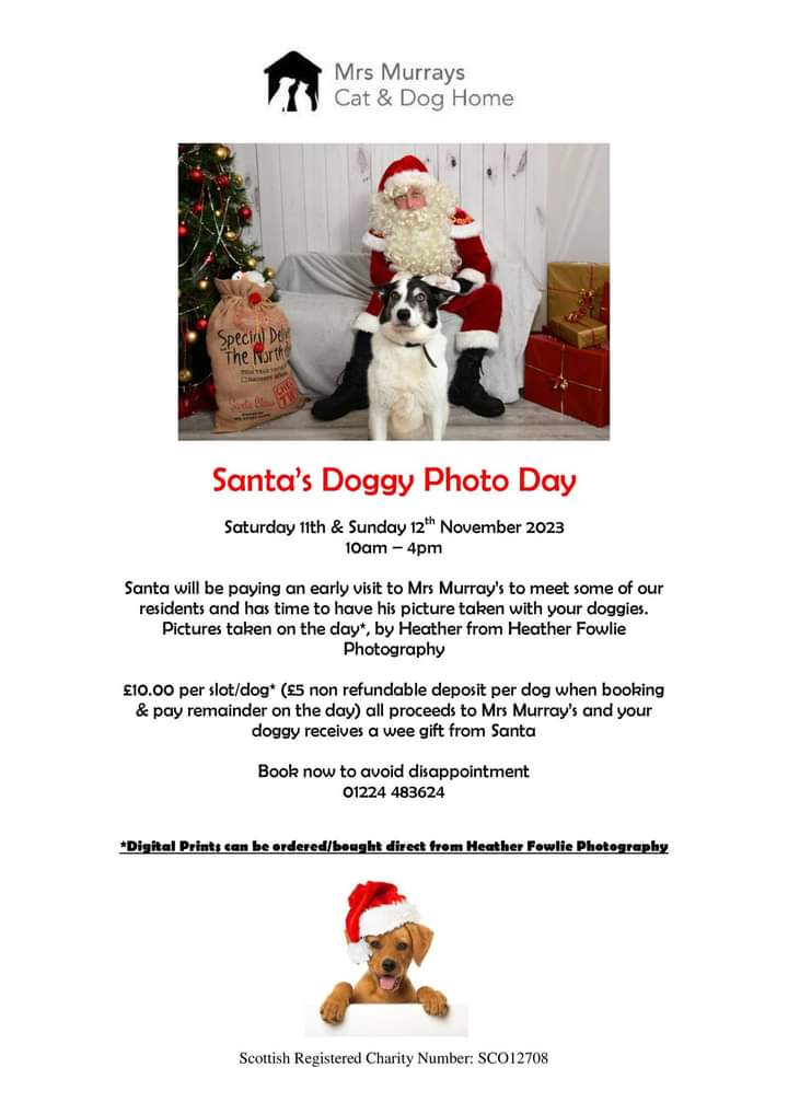 Diary open for Santa Paws🎅🐾 ⬇️ #santapaws #christmas2023 #photo #HeatherFowliePhotography