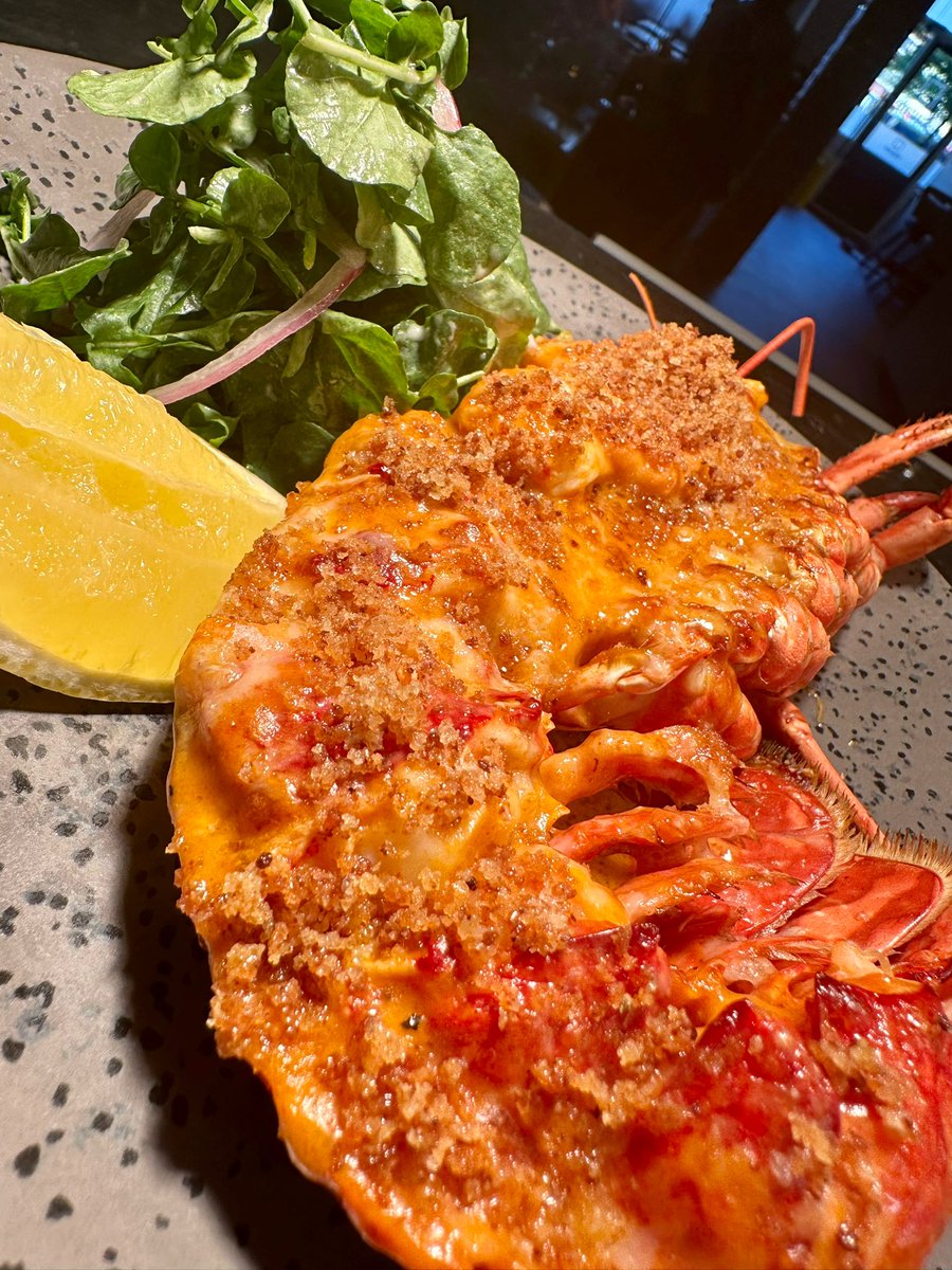 squarebistro's tweet photo. #proper kilkeel lobster Thermidor on tonight!!!! Perfectly cooked lobster in a lobster cheese sauce, sourdough crumb with cress salad &amp; fries. #tablesavailable #booknow https://t.co/ZqSAORk1zn