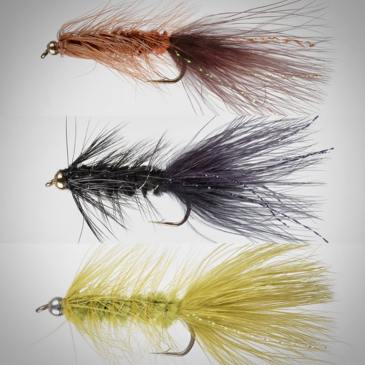 PerfectHatch's tweet photo. Fall Fly Box Recommendation:
The good old Wooly Bugger! 

Attracts trout in fast or slow water and imitates crayfish, leeches, minnows &amp; more!  Favorite food sources of trout! 
#woolybugger #flyfishing #perfecthatch #trout #troutfishing #troutbum #outdoors #flyfishingnation https://t.co/3TXEOiqtWH