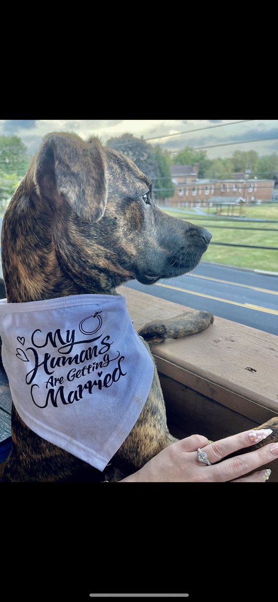 Levi Spray Art 🌌 tweet media