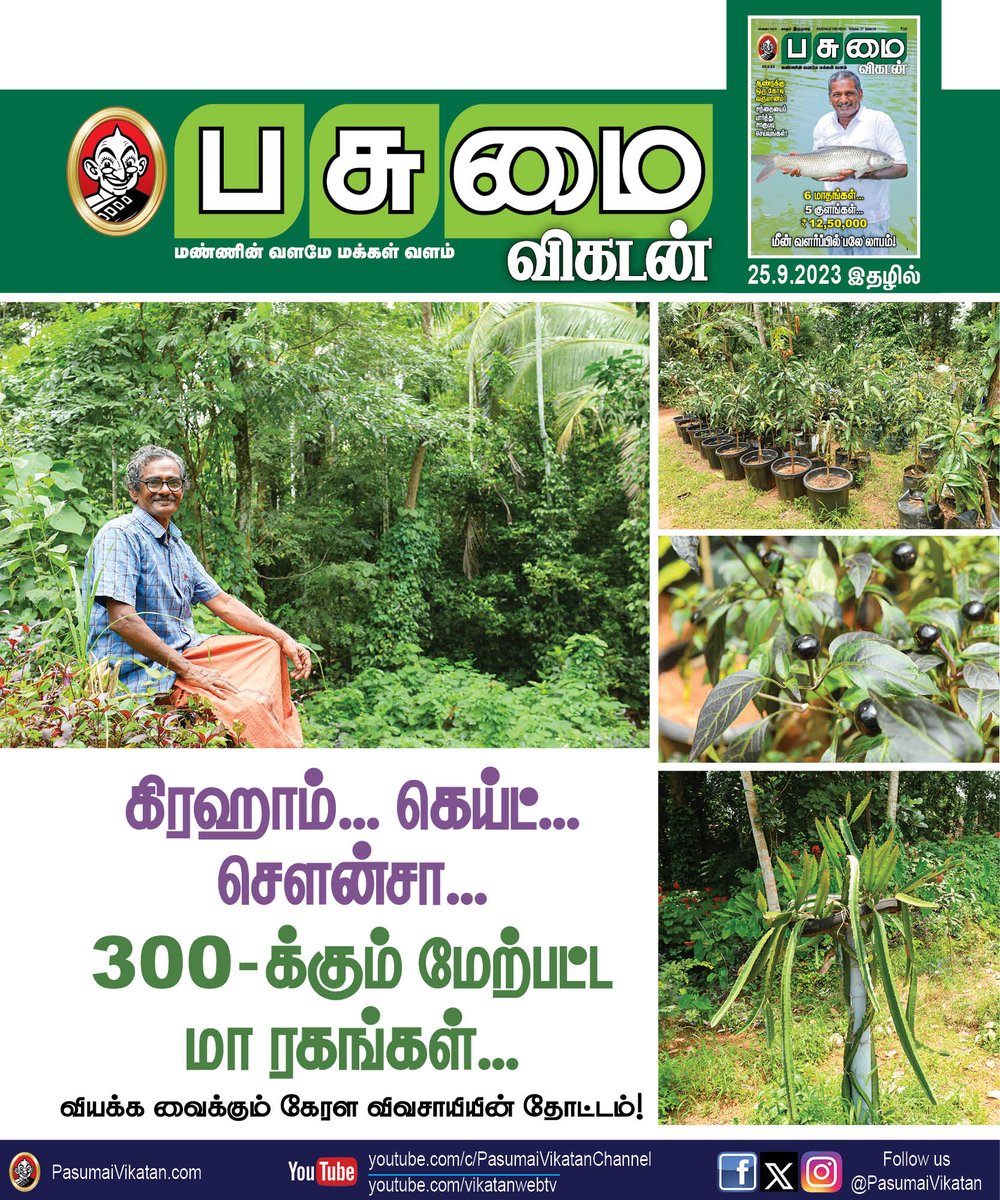 PasumaiVikatan's tweet image. கிரஹாம், கெய்ட், செளன்சா; 300-க்கும் மேற்பட்ட மா ரகங்கள்; வியக்க வைக்கும் கேரள விவசாயியின் தோட்டம்!
bit.ly/3rixX5s

#Agriculture #MangoVarieties #KeralaFarmer #Organicfarm #Pasumaivikatan
