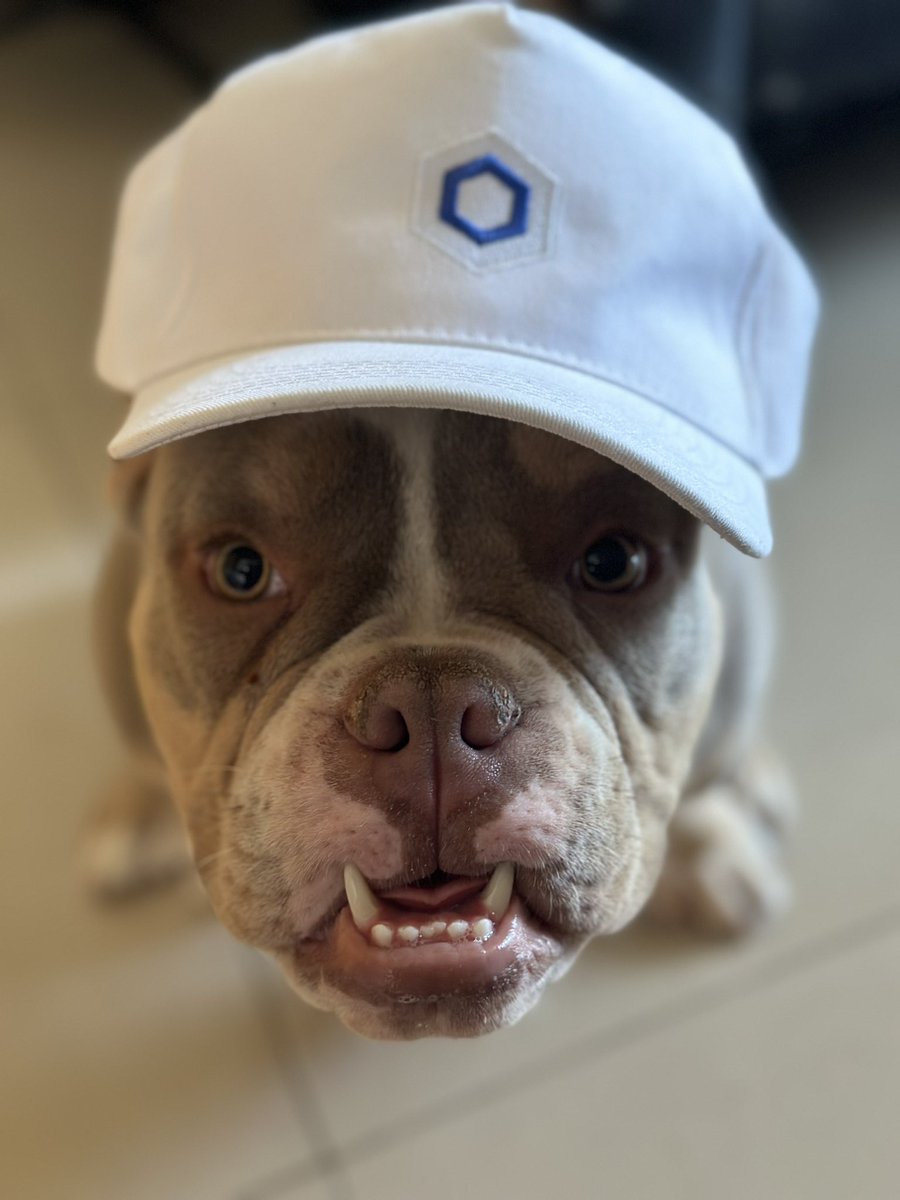 jeffbeltrao's tweet photo. Even my dog is a #Chainlink fan! 💙🐶😂
#ChainlinkCommunity #ChainlinkPT #Web3 #SmartContract #Blockchain https://t.co/LbgsIVdwcK