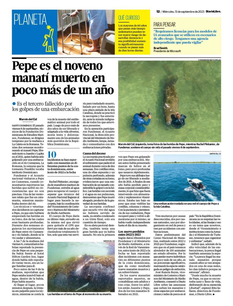 Fundemardr's tweet photo. Pepe es el noveno manatí muerto en poco más de un año 

Artículo del @diariolibre por @marvindca 

https://t.co/To4fi4XeKF https://t.co/vyCkMZOb4E