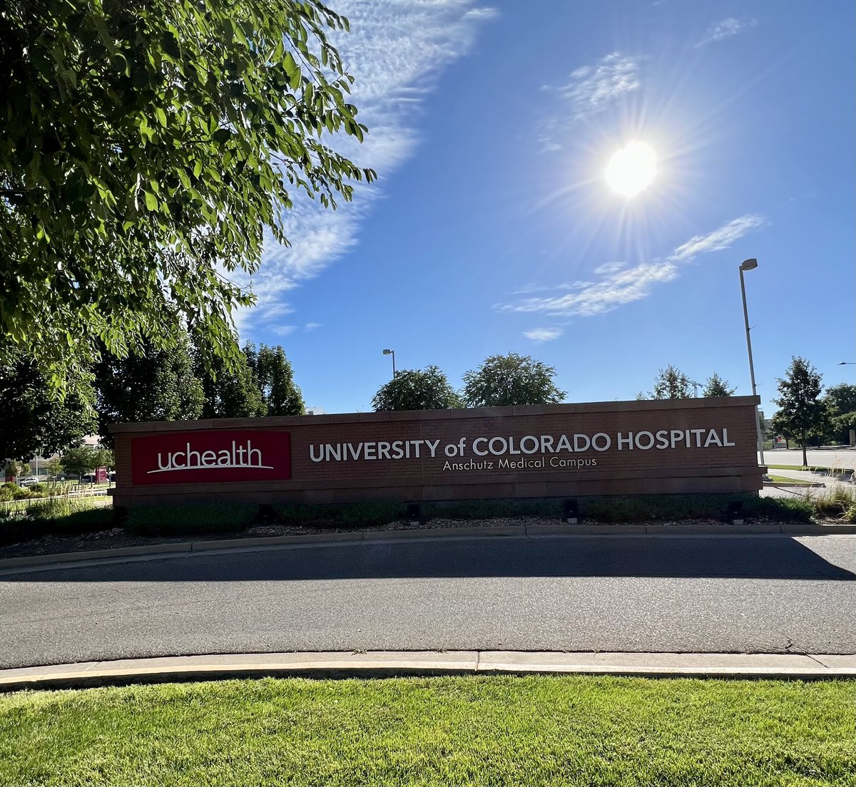 Priyanka Sachdev, MD 🇨🇦 tweet media