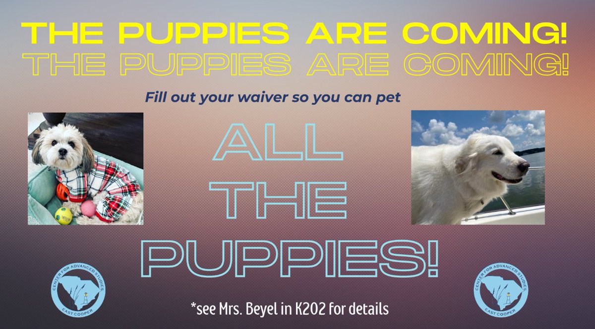 LibrarianLady74's tweet photo. The puppies are coming!
Today begins our 2023-2034 Pet Therapy program in the ECCAS Library. Just come in and pick up a waiver and turn it in to Mrs. Beyel and visit every Wednesday and Friday during first lunch for a dose of healing puppy vibes!
#pettherapy #pawsforliteracy https://t.co/iHz7d2Cn4t