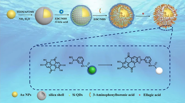 AnalBioanalChem's tweet photo. Plasmon-enhanced #fluorescence for #ellagic acid detection based on surface structure of gold #nanoparticles
by Yaqiong Yang et al @SiChuanUniv #silica #quantum #dots

https://t.co/tEqPTkJ0XA https://t.co/C7u413OLKz