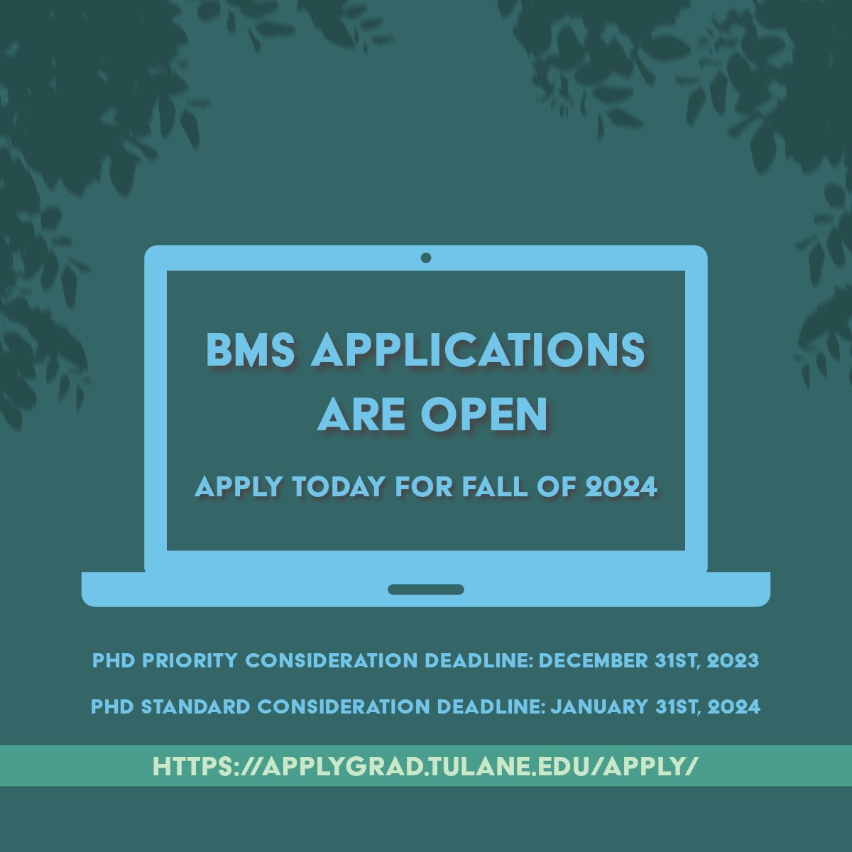 TulaneBMS's tweet image. Applications for Tulane University’s Interdisciplinary Biomedical Sciences PhD program are open! Apply today! applygrad.tulane.edu/apply/