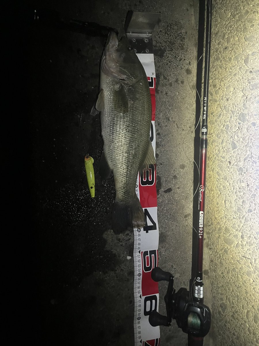 terup_3's tweet photo. クローラー入魂！スネコン流し！残念なのはバス違い…。魚は違えどロッドのポテンシャルに魅了された。素敵。

#シーバス　#木曽三川シーバス
#バス違い　#ブラックバス
#fishman #フィッシュマン
#crawla92l #クローラー92lプラス
#シマノ　#エクスセンスdcss
#ブルーブルー　#スネコン90 https://t.co/tYFy9pea9T