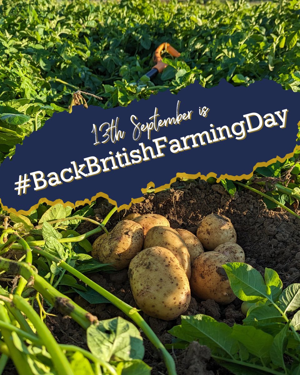 Unexpectedly empty shelves can be avoided when we can be more self-sufficient and nurture what we already have – with support from you, businesses and politicians. It's #backbritishfarmingday - keep an eye out for 'British' and support it wherever you can ❤️🇬🇧