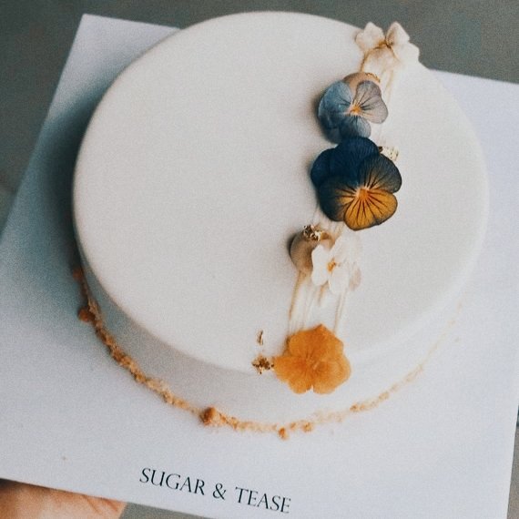 txt_choisb's tweet photo. Happy birthday, the nick to my judy. https://t.co/4CXGVDjv87