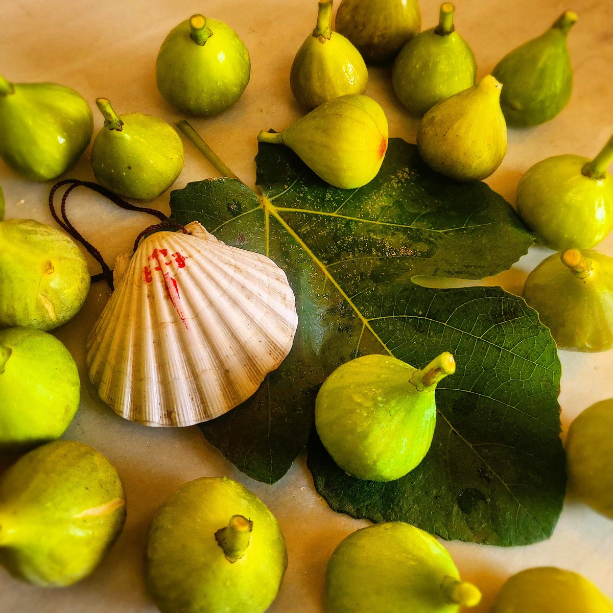 #DosJedisEnElCamino 
#BuenCaminoDulceAfán 

LA COSECHA DE HIGOS DEL DÍA

#EsteEsMiNuevoMomentoFavoritoDelDí 

🎬
#higos #higosfrescos #figs #harvest #cosecha #cosechapropia #CaminoDeSantiago #CaminoFrancés #GaliciaBonita #VidaRural #galiciarural #galiciacalidade #galicia