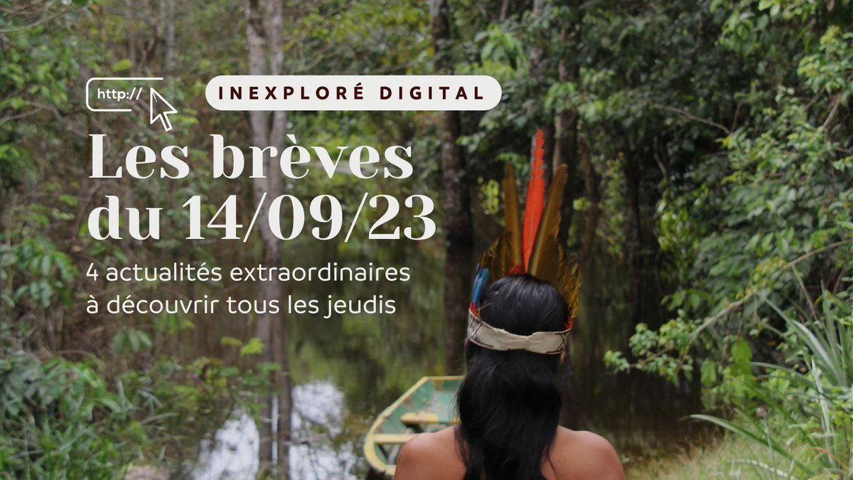 🗞️ Les actus de la semaine   Victoire écologique et historique, yin-yang quantique, quelles sont les avancées actuelles dans ces domaines ? La #technologie et l’#IA peuvent-elles effacer certains handicaps ? 🔹inexplore.com/articles/breve… #Yinyang #ecologie #animaux #handicap