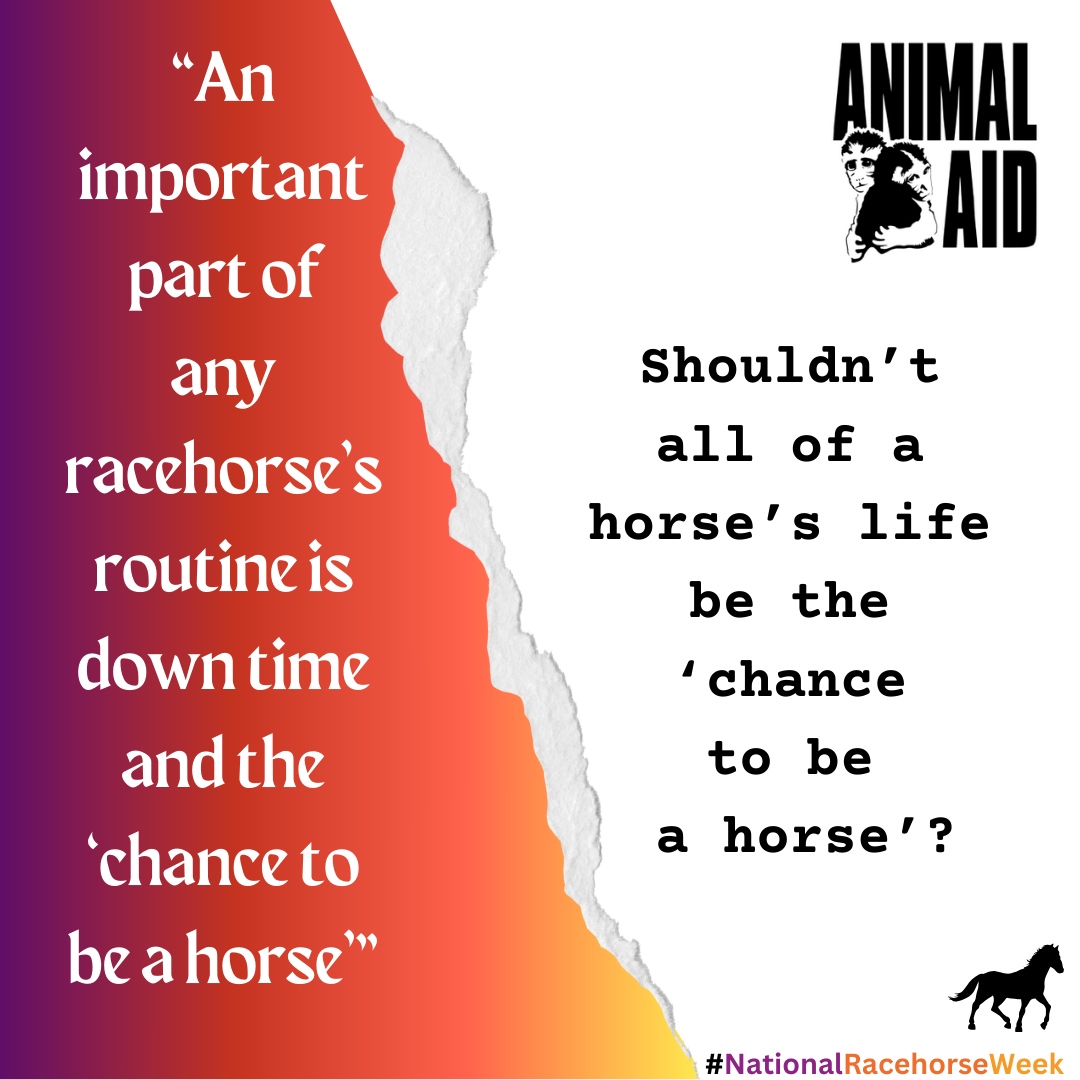 One of the arguments used to continue horse racing is the idea that racing is ‘natural’ for horses; they ‘love it’, it is what they are ‘made for’. If this was the case, why would they need a timetabled slot in which to have the ‘chance to be a horse’? 

#nationalracehorseweek