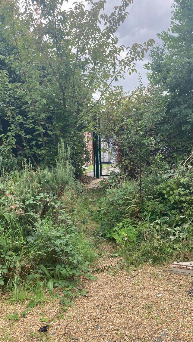 Outreach_ICPSS's tweet image. The Outreach team hard at work getting the Sensory garden cleared and ready for some wonderful outside interventions. @TheRowansAP @ICSENprimary @ICPrimarysup #outsidelearning #outreachsupport #thisisAP #nurture #forestschool