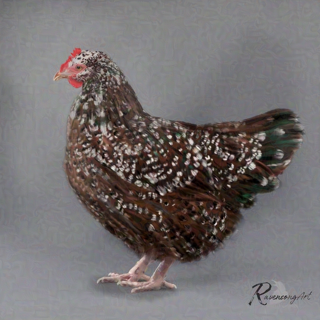 RavenSongArt's tweet photo. 'Speckled Hen'
Digital Painting
Photoshop
2020
Reference from Adobe Stock https://t.co/XrJ8TaDsZX