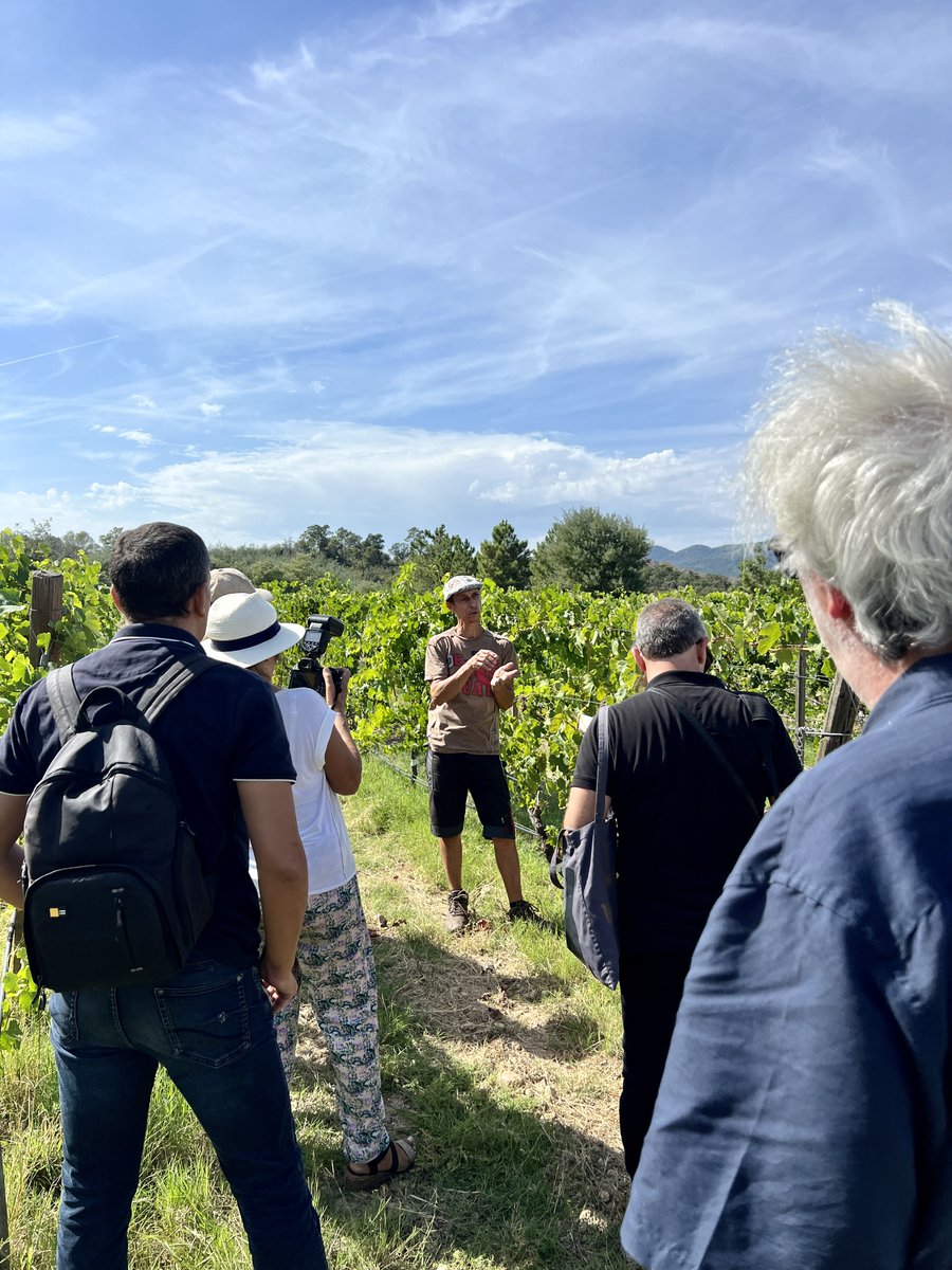 Collection Barbossi tweet media