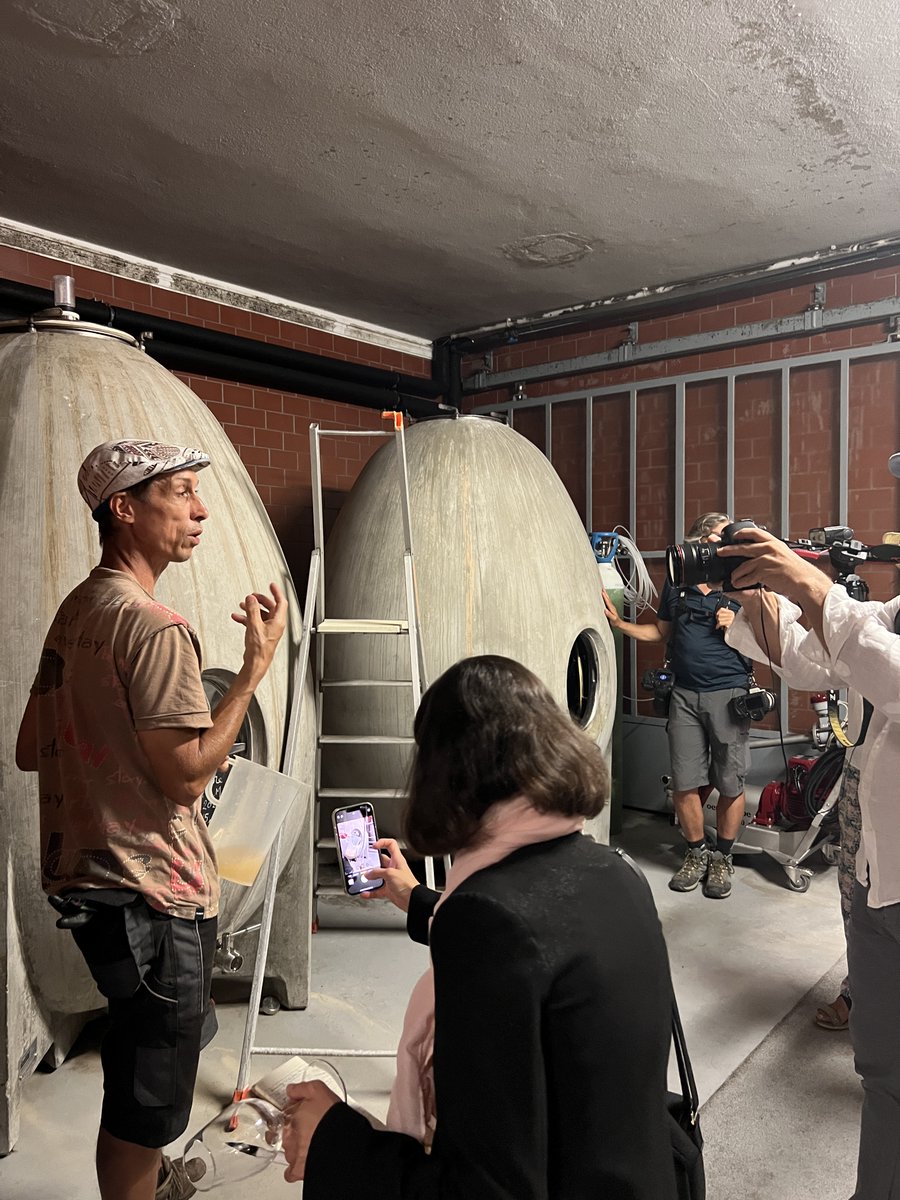 Collection Barbossi tweet media