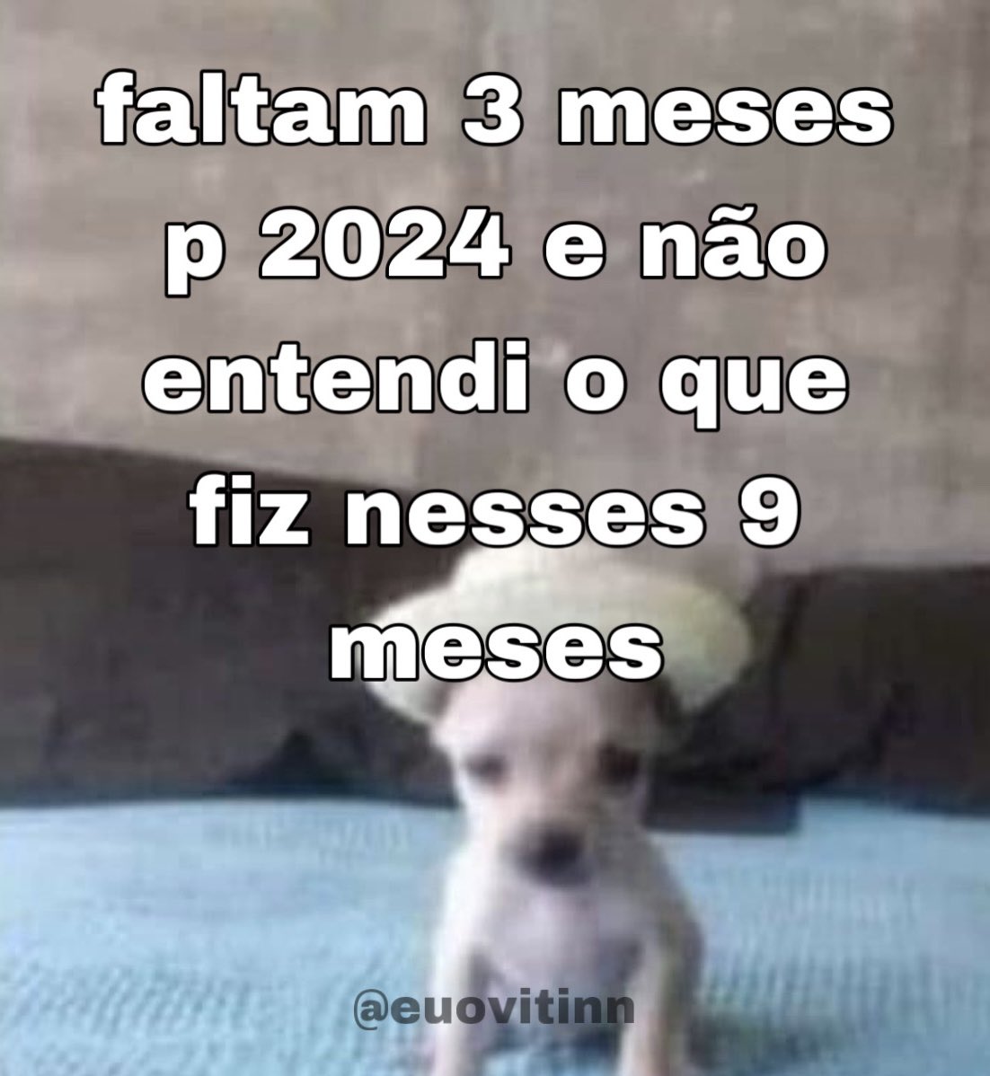 Trouxinha (@euovitinn) on Twitter photo 