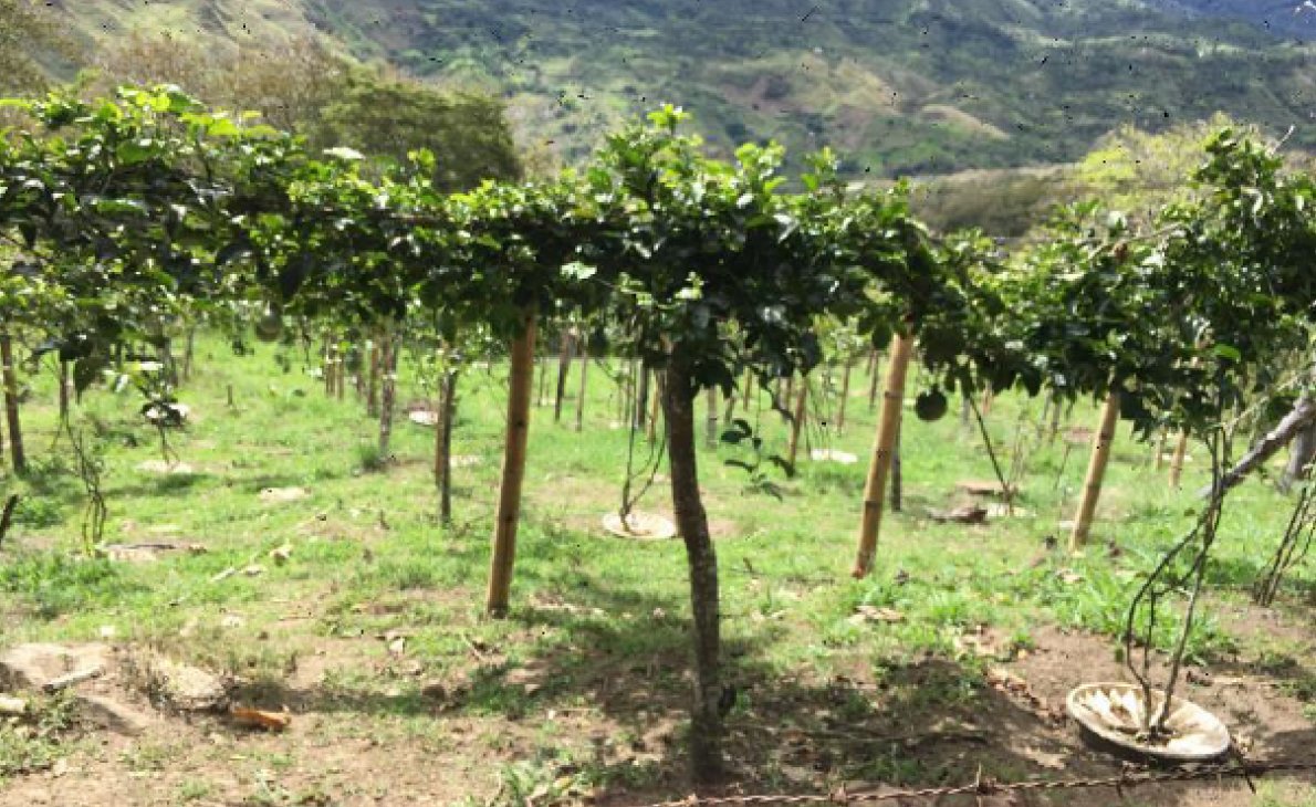 groasis's tweet image. UN Report - Philippines. In Bukidnon indigenous groups are being forced to adapt to the impacts of climate change and using centuries-old knowledge to forged sustainable solutions. globalissues.org/news/2023/09/0…
The #Waterboxx is based on principles of nature.
innovation.wfp.org/project/groasis