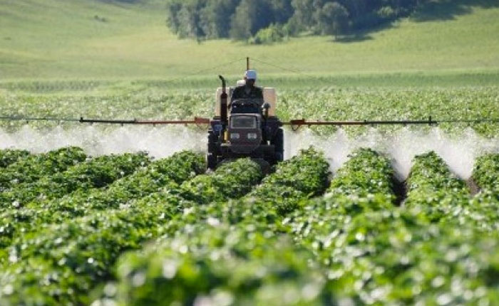 #Economía
Fedecámas Zulia denuncia graves problemas en la agroindustria por la delincuencia

El Pdte. Fedecámaras Zulia, Alex Balza, denunció que el sector presenta graves problemas por hechos asociados a la delincuencia, por lo que piden a las autoridades proteger la producción