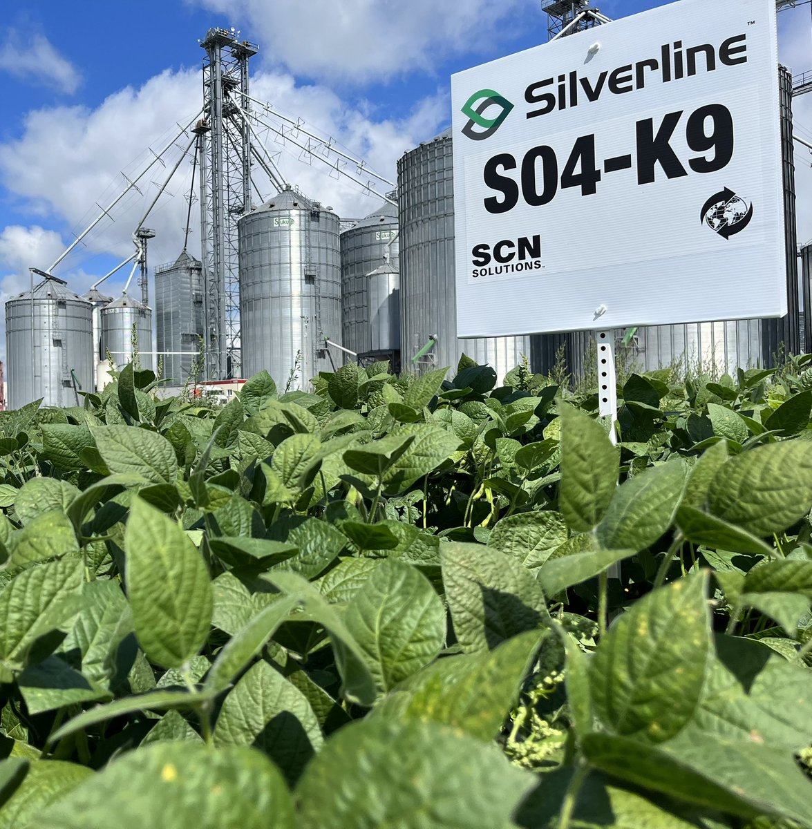 V.D.B. Grains Ltd tweet media