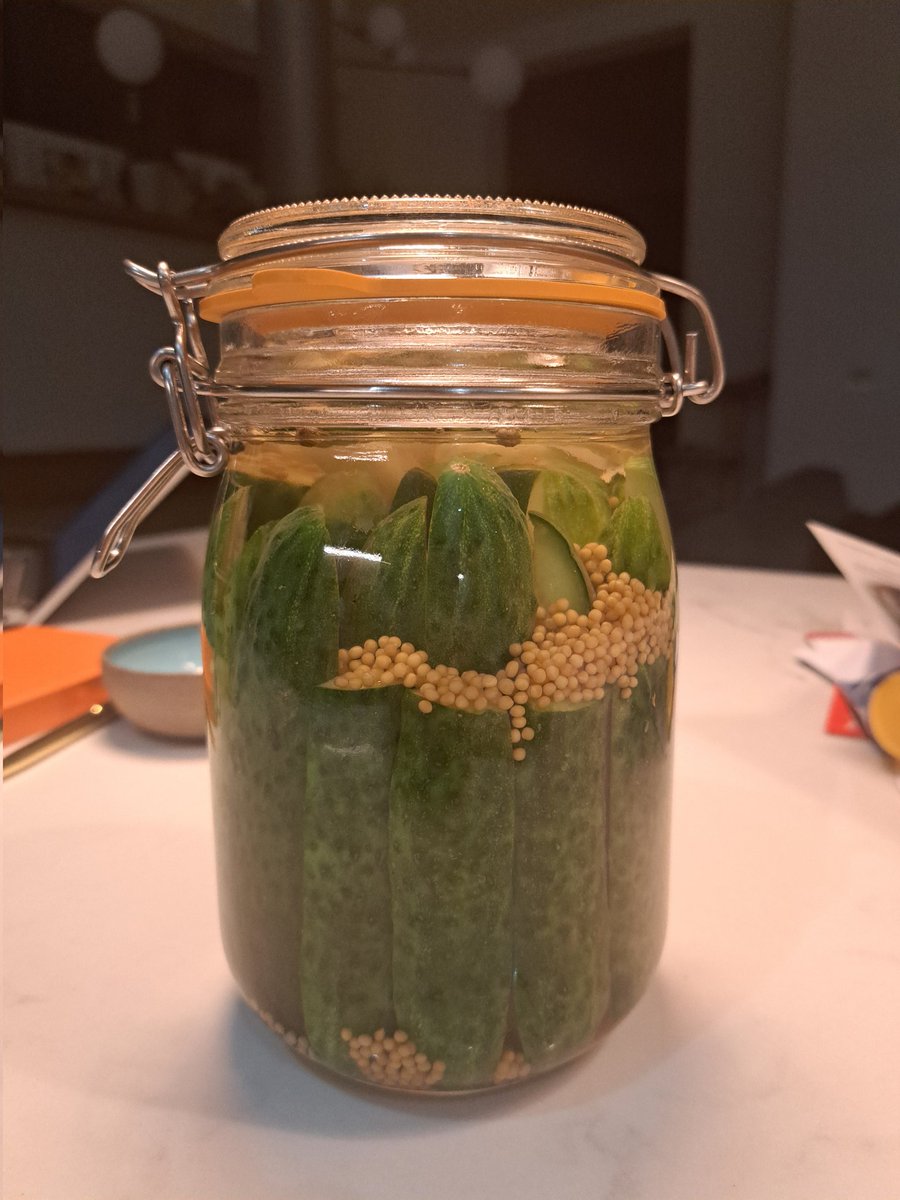 always_pickling's tweet photo. Ridge cucumbers, trad recipe but no dill. Should be perfect for Rosh Hashannah. https://t.co/y0AeoSjQO4