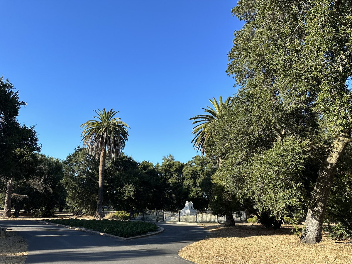 hpcnotes's tweet photo. Nice walk across Stanford campus yesterday evening https://t.co/VIOl4LN9hz