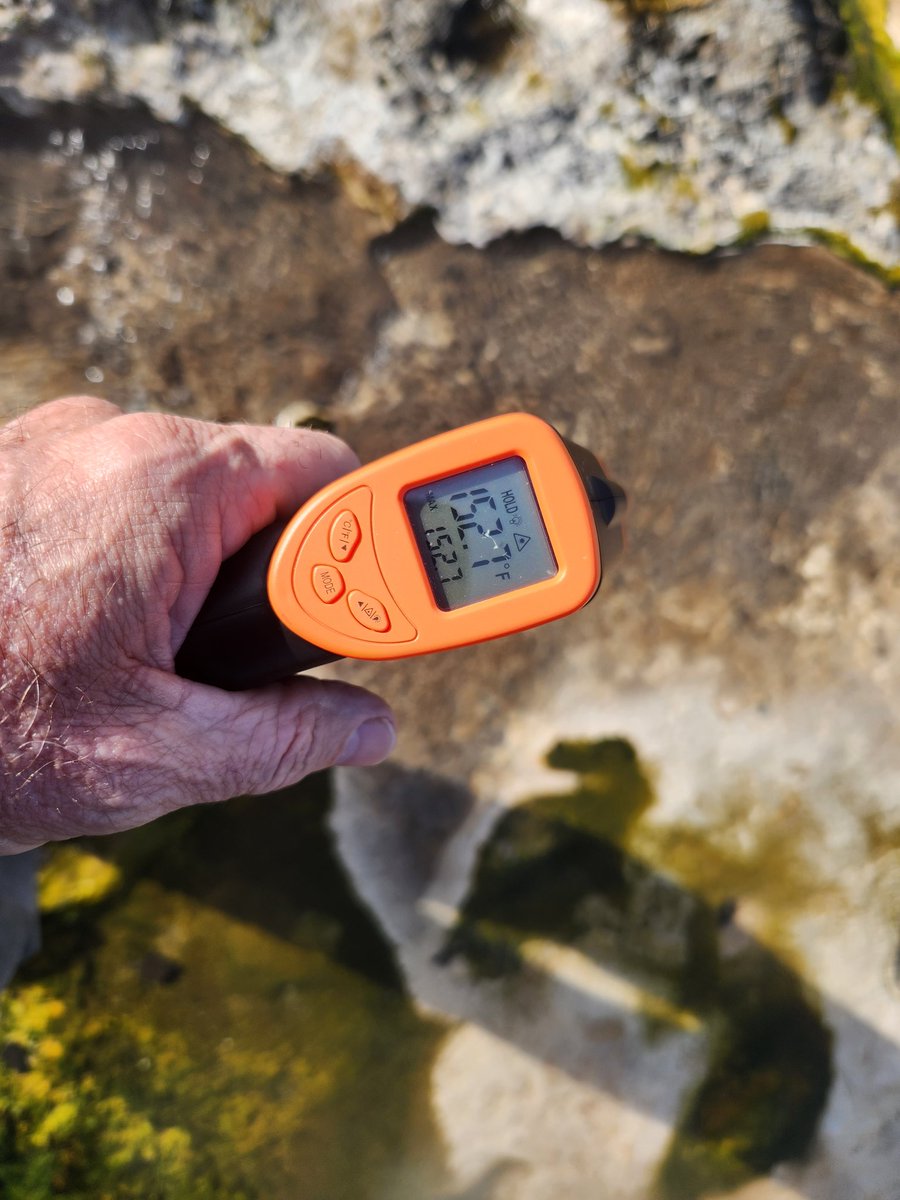 MarsMissionI1's tweet photo. Checking out different awesome hotsprings... but this one is a little bit too warm! https://t.co/3kx2W9lRnJ