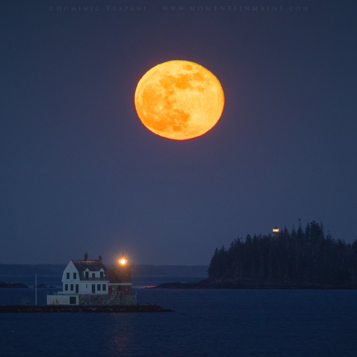 Dominic Trapani tweet media