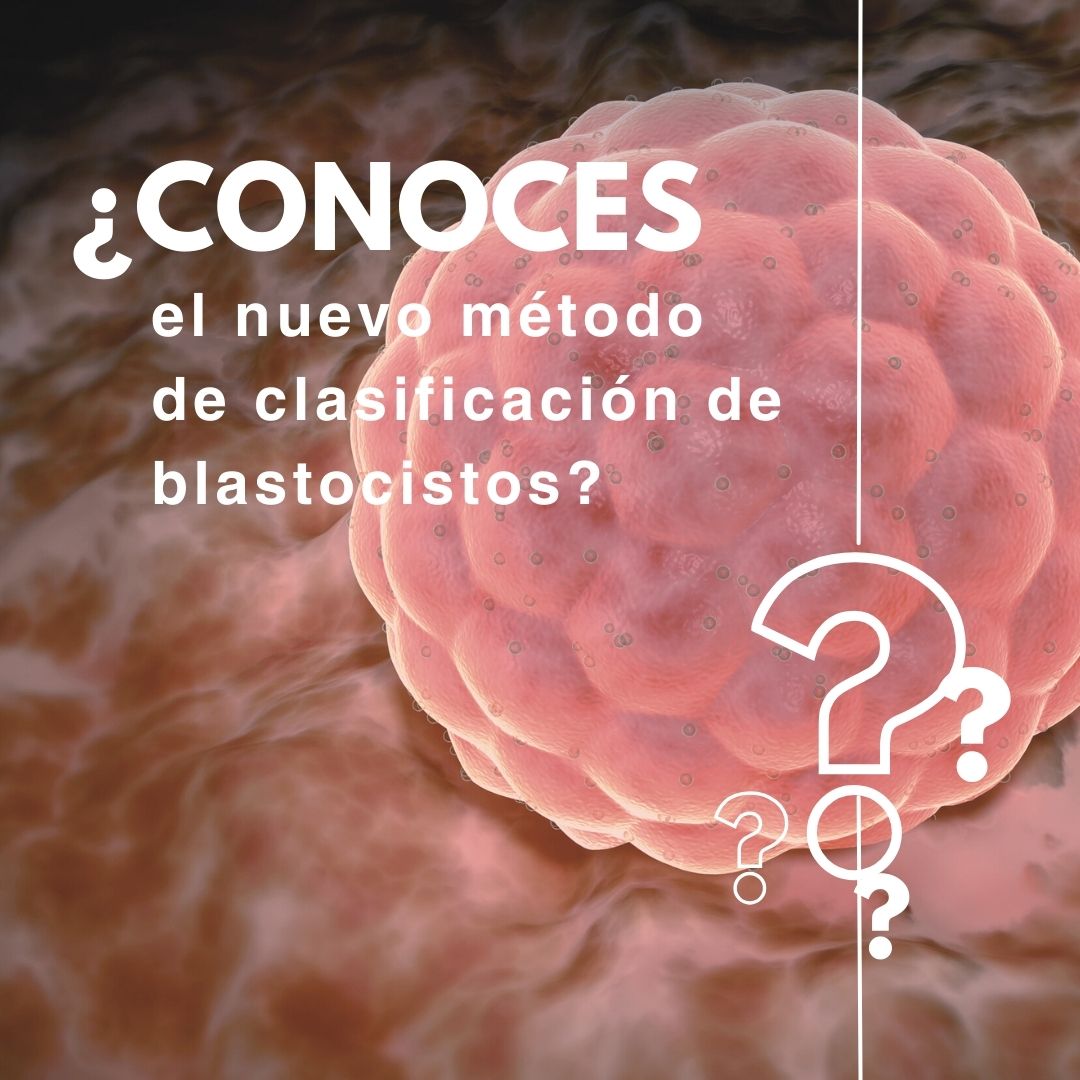 La prestigiosa revista
<a href="/RBMOnline/">Reproductive BioMedicine Online</a>
se hace eco del proyecto liderado por Maria Carme Pons para desarrollar un nuevo método de clasificación en estadio de blastocisto que fuera objetivo, fácil de usar e incluyese medidas cuantitativas en la evaluación.  ow.ly/uoYm50PKy51