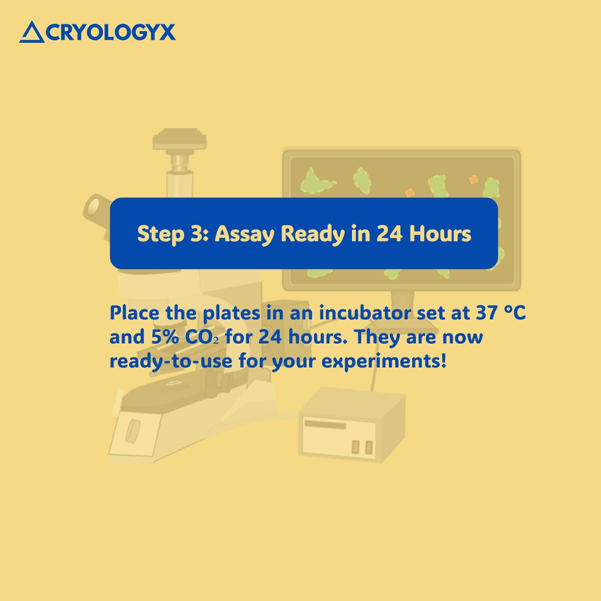 How easy it is to use our #assayreadycells? Simply follow the three steps below and your cells are ready to use. No more cell culturing - Save your invaluable time on conducting research rather than cell prep! Explore more: lnkd.in/e4h9jsnj. #biotech #cryopreservation