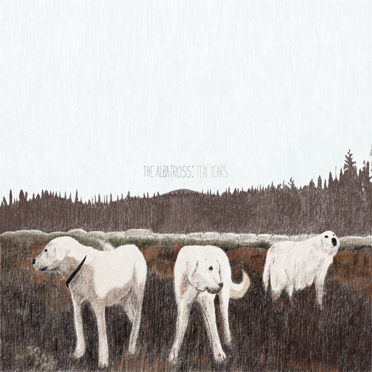 Foxing announce 'The Albatross' 10th anniversary edition with covers by Home Is Where, Prince Daddy &amp; the Hyena, Sweet Pill, For Your Health &amp; more

Listen to <a href="/Pdaddynthehyena/">prince daddy</a>'s "Rory" and Foxing's own new version of the song now: brooklynvegan.com/foxing-announc…
