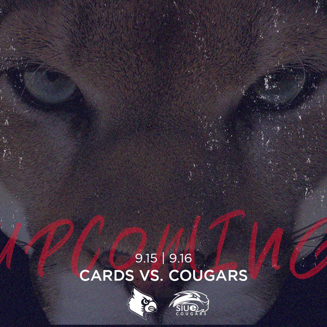 louisvillehkyd1's tweet photo. Looking forward to it…

#GoCards🏒 https://t.co/pygrAbvTKs
