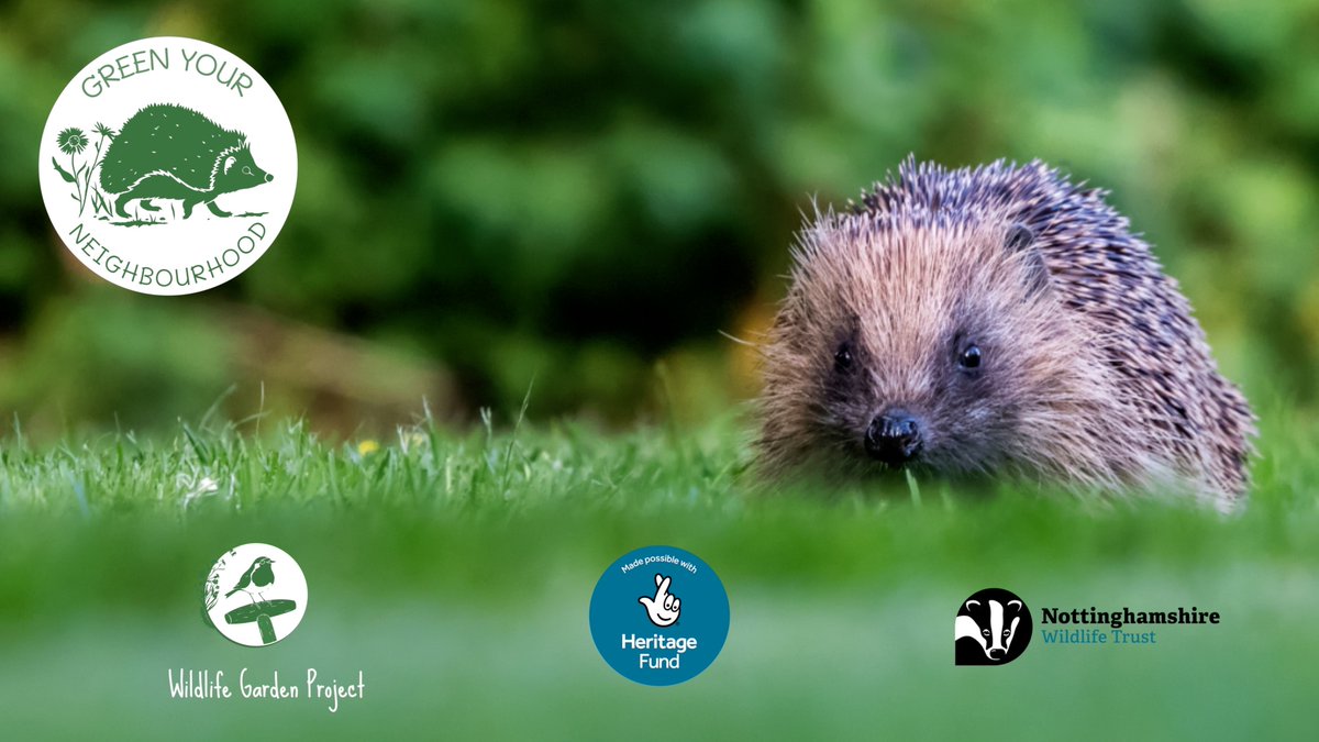 We've teamed up with @Nottswildlife to work with community groups involved in #NextdoorNature to create a series of films and resources to enable communities to take action that will benefit their local area, their community and wildlife 🌿🦔🦋
#AccessToNature #WildlifeGardening