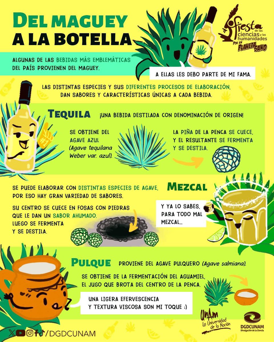 Pulque Penca Larga (@penca_larga) • Instagram photos and videos, image size:960x1200