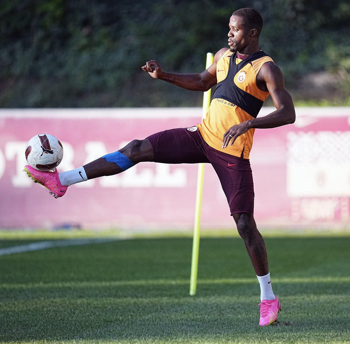 💪 <a href="/wilfriedzaha/">Wilfried Zaha</a>