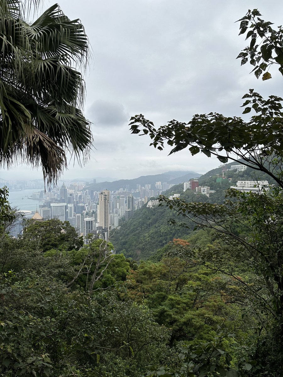 Payson Lewis tweet media