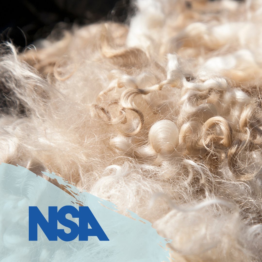 #FactFriday Wool is a renewable fibre source!🐑🧶

Wool production produces very little carbon compared to alternative, man-made fibres and has a low fertiliser requirement as sheep naturally convert low quality pastures into useful fibre crops.

#WoolMonth

<a href="/BritishWoolFarm/">British Wool Farm</a>