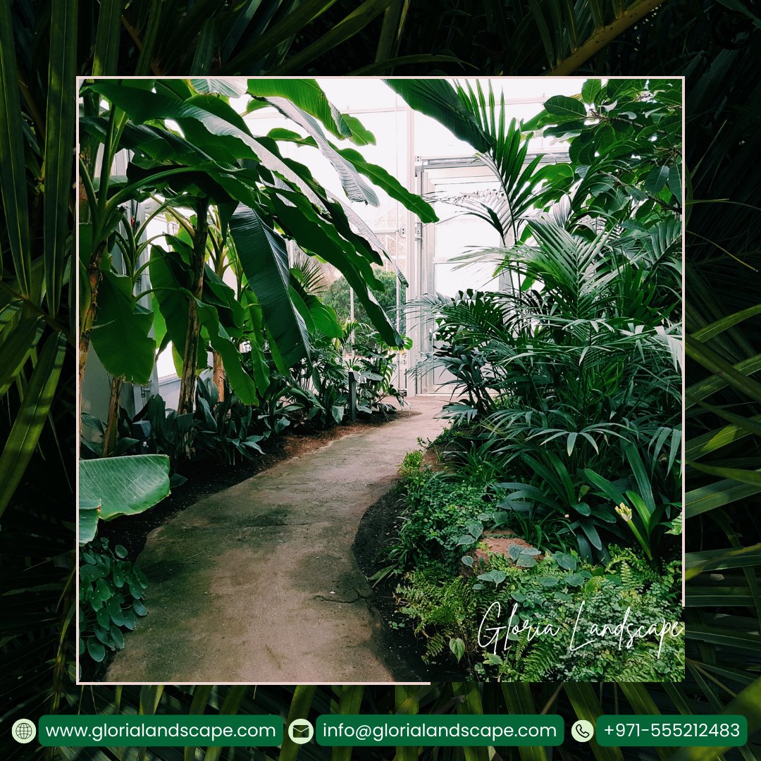Gloriascape's tweet photo. "Revitalize your indoor spaces with our exquisite indoor plant and pot selections. Elevate your décor and create a healthier, more vibrant environment indoors. 

https://t.co/5C8DtFsMfO or 
contact us at +971 5-552-12483. 
Email: info@glorialandscape.com https://t.co/hwmNLOSaVl