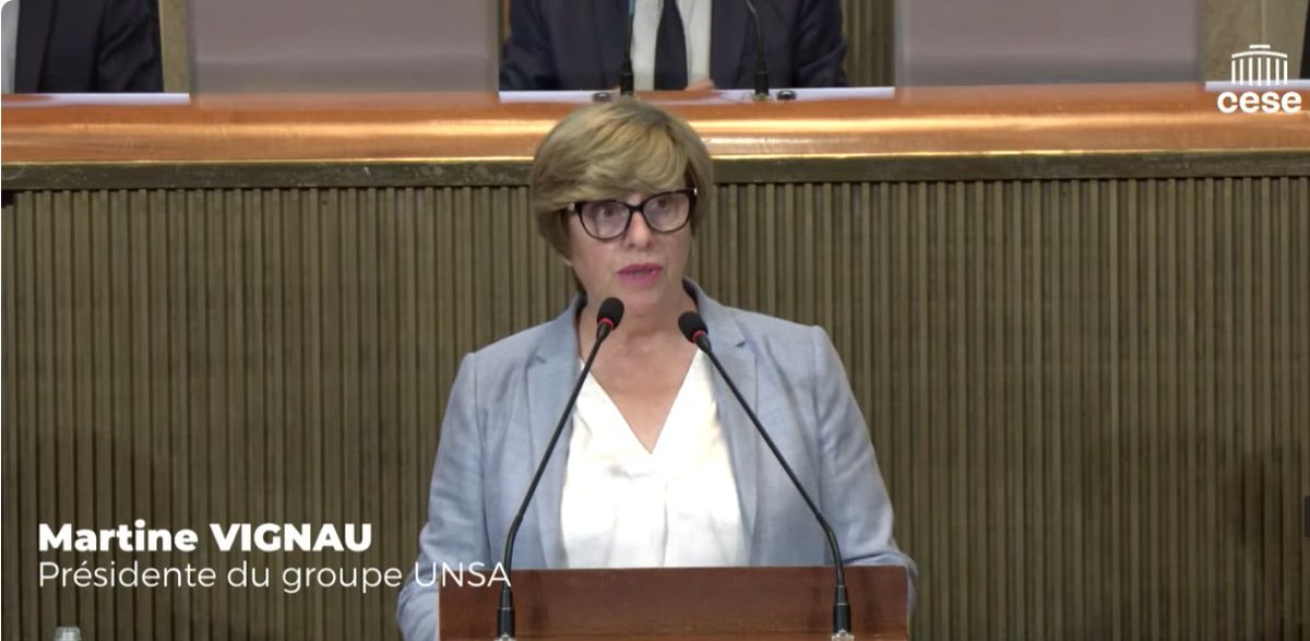unsa_cese's tweet photo. .@VignauMartine intervient sur l'avis " le sens de la peine" en plénière du @lecese #Directcese https://t.co/CKKqxvWCbk