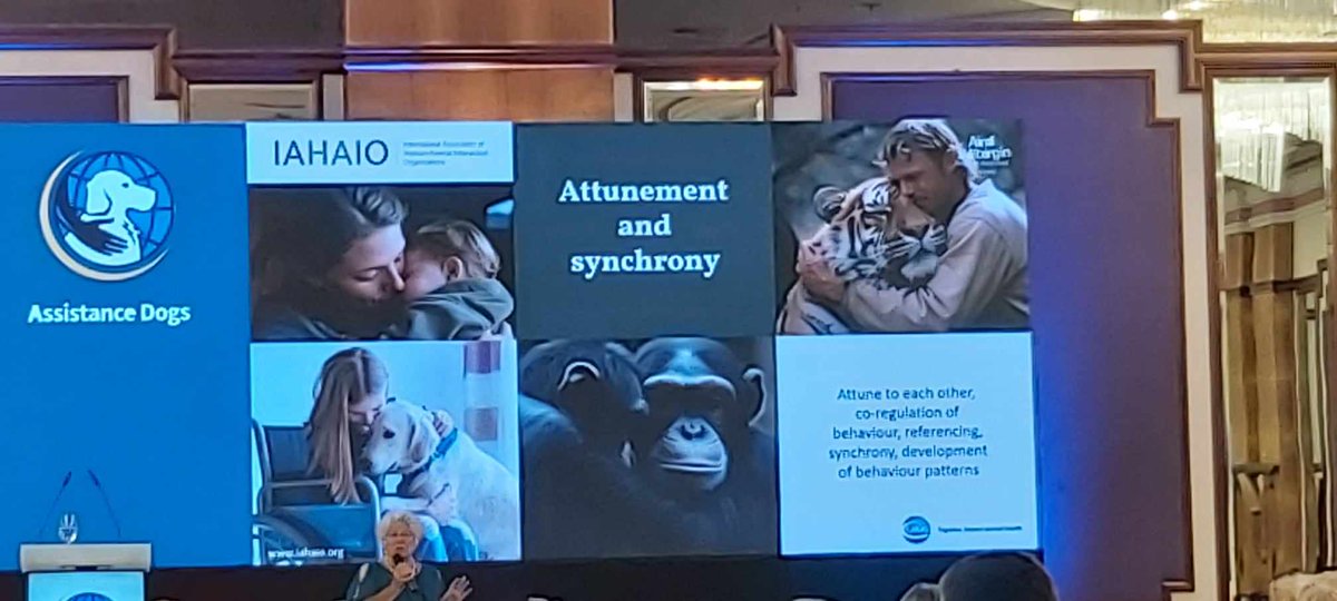 We are nearly at the end of Dr Marie-Jose Enders-Slegers' talk about wellbeing in working circumstances for #assistance dogs. We've all learned so much this week and can't wait to put new ideas into practice, so that we can create more Paths to Positive Partnerships. #ADITogether