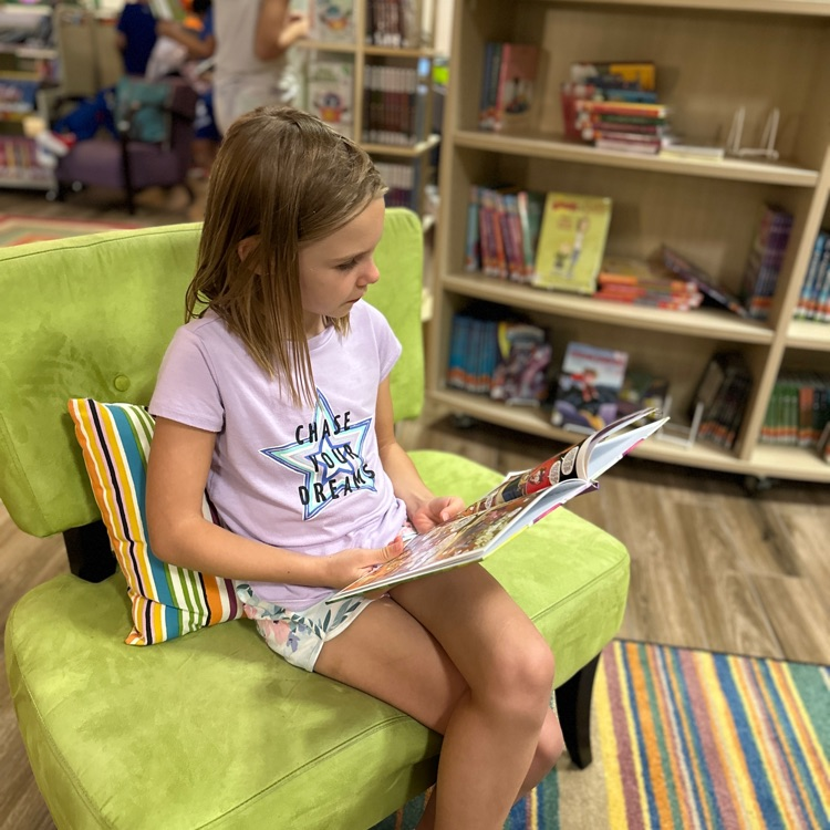 Shadow Forest Elem tweet media