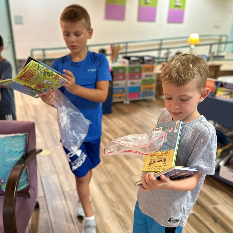 Shadow Forest Elem tweet media