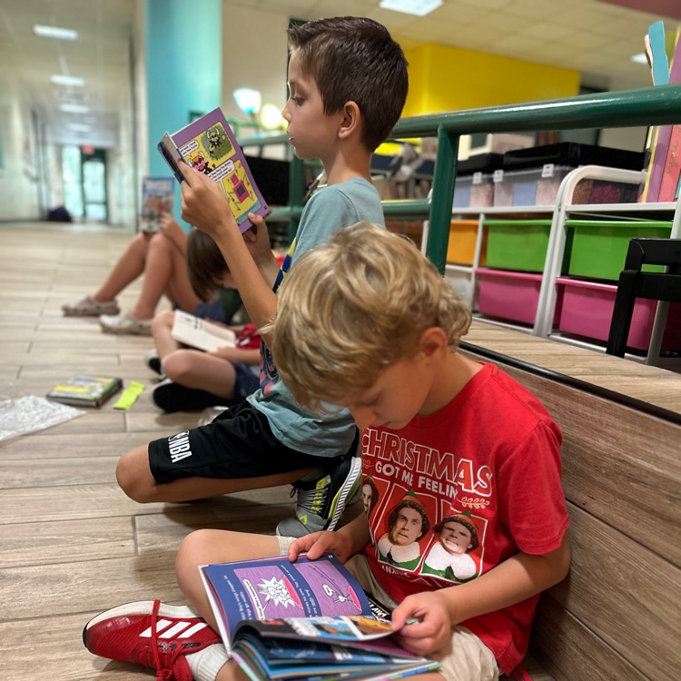 Shadow Forest Elem tweet media