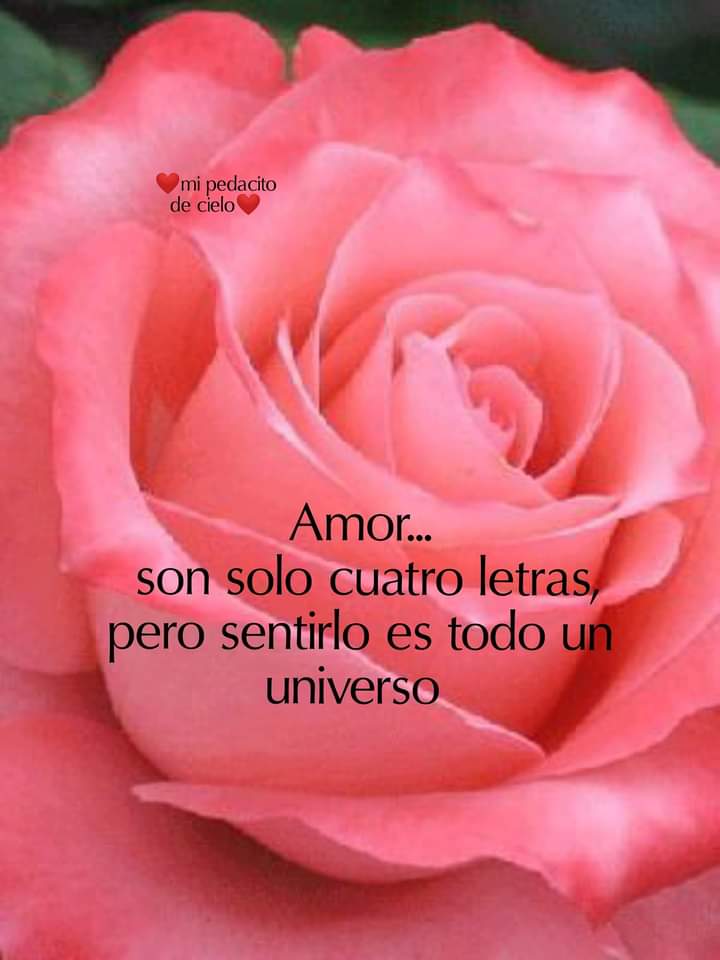 Maria Dé Jesús Resendiz (@mariadejesur) on Twitter photo 